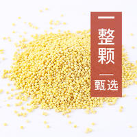 大黄米500克煮粥包子粽子粘小米五谷杂粮