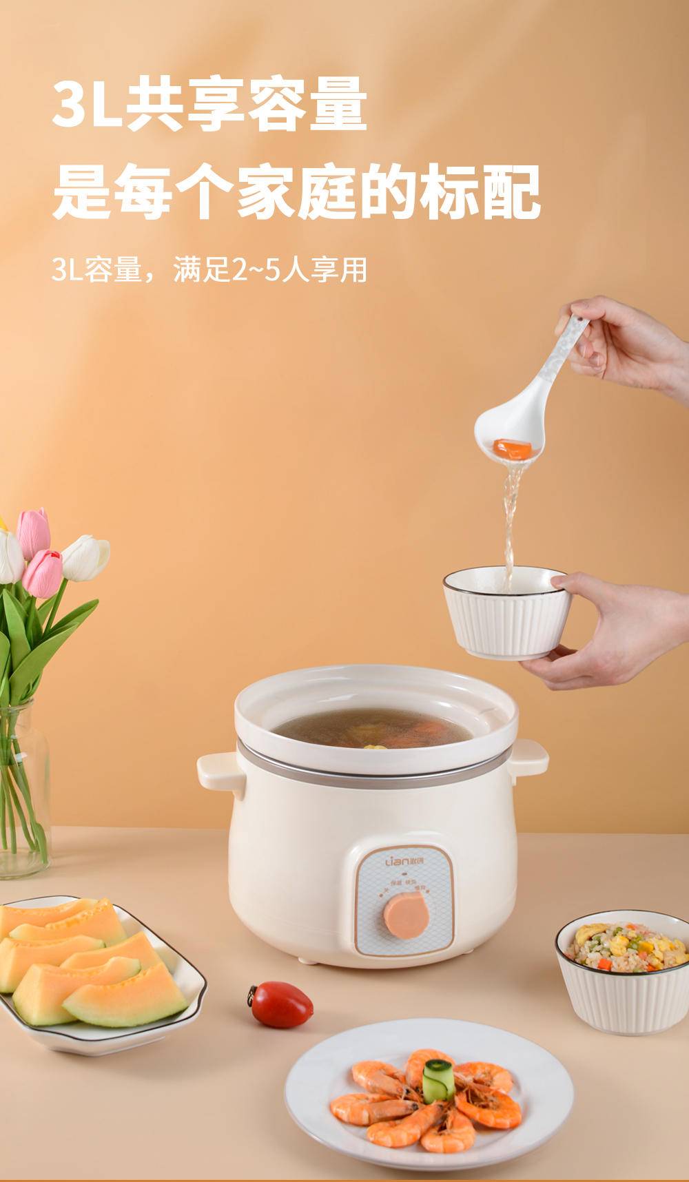 联创电炖锅DF-BL9052M