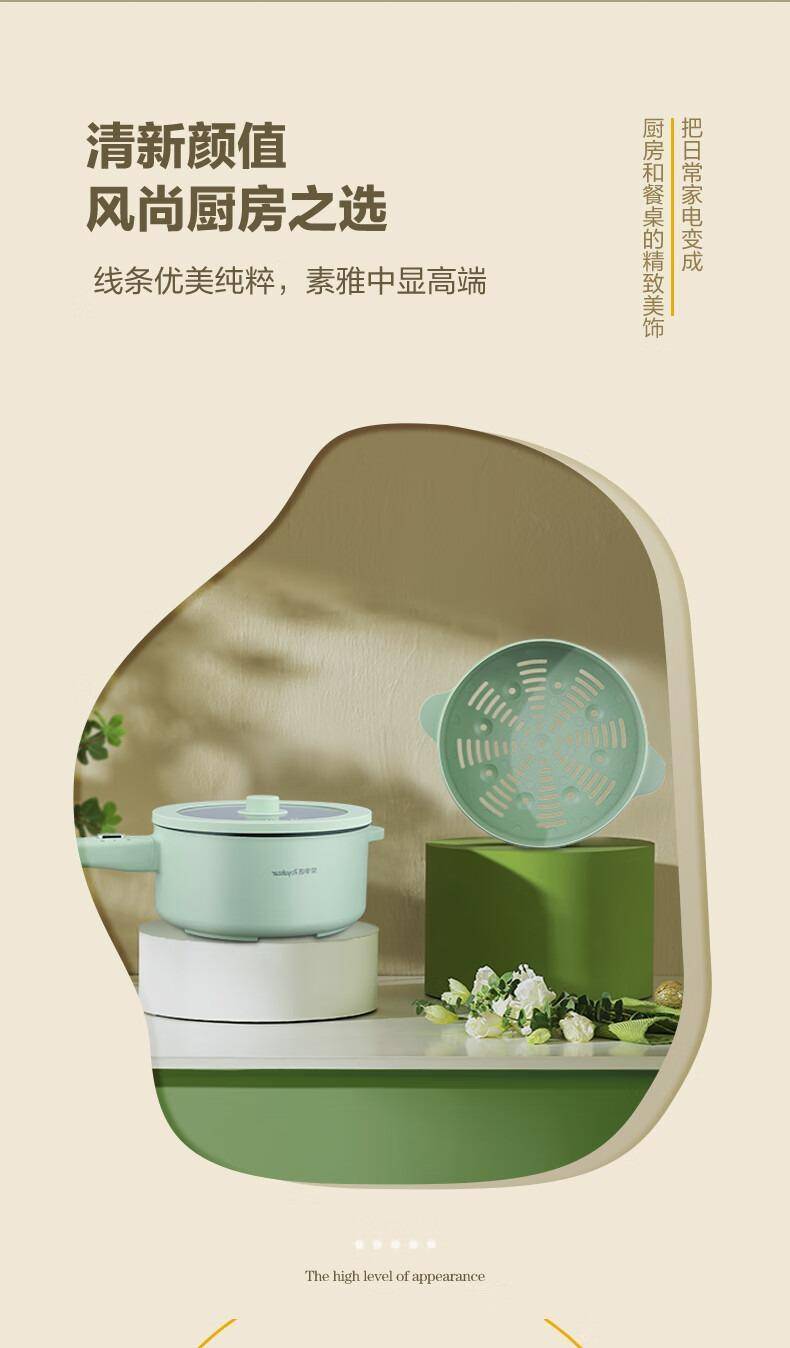 荣事达（Royalstar）电炒锅DZG35L