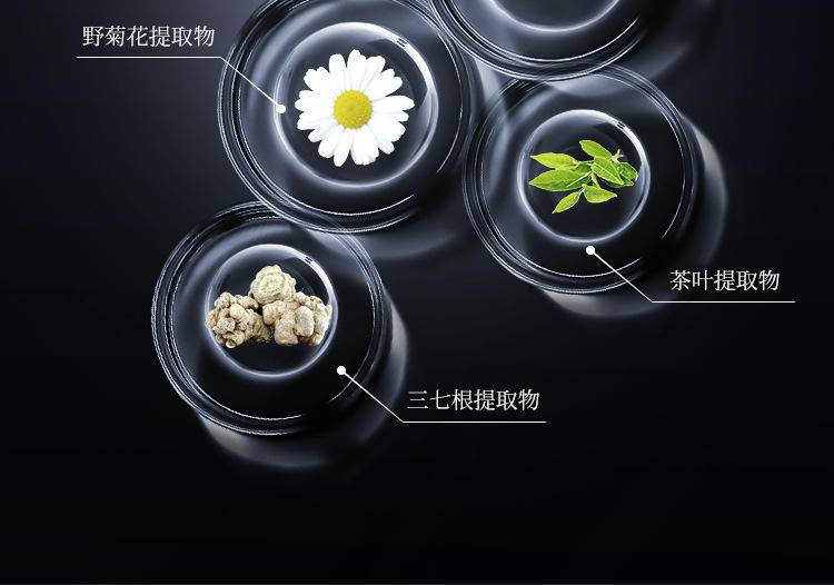 和风雨玻尿酸去渍护龈牙膏100g益生菌护龈牙膏2支装