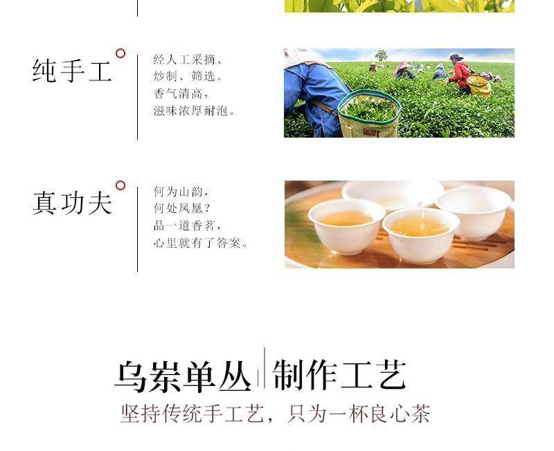 茶之茅茶叶潮州凤凰单枞头春鸭屎香四罐装500g