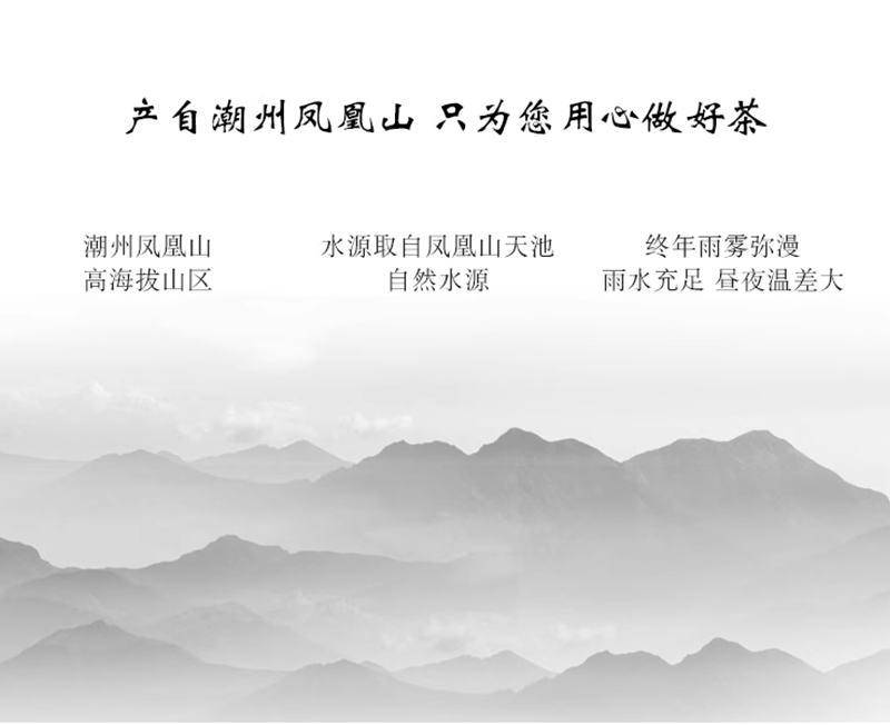 茶之茅茶叶潮州凤凰单枞头春鸭屎香四罐装500g