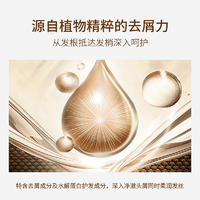 欧贝斯YN去屑洗发露（丝滑柔顺去屑）500ml/750ml