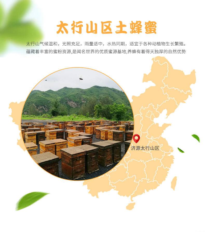 养蜂婆婆CP蜂意浓 土蜂蜜礼盒装2*500g