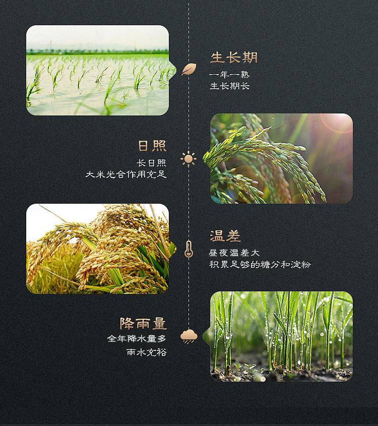 奉粮五常香米当季新米Y5kg（红袋）