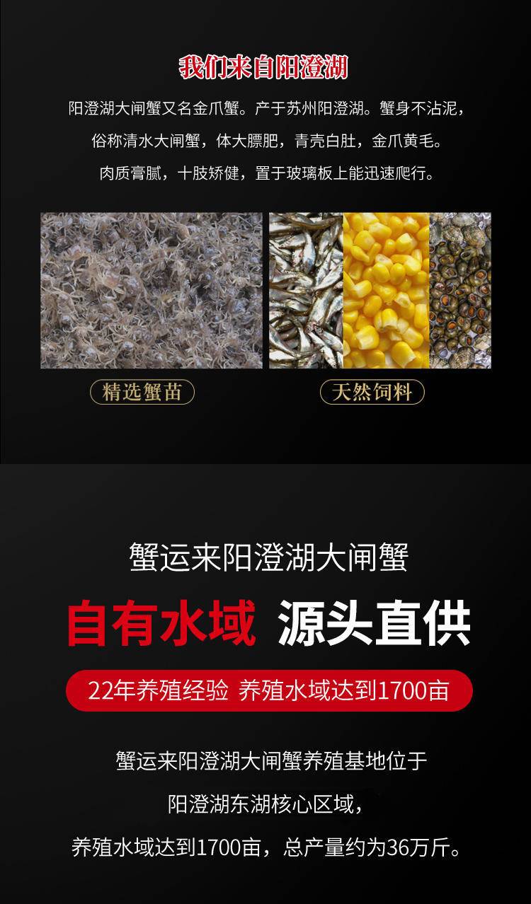 【蟹卡】蟹运来阳澄湖大闸蟹中秋螃蟹券礼盒礼品卡海鲜水产