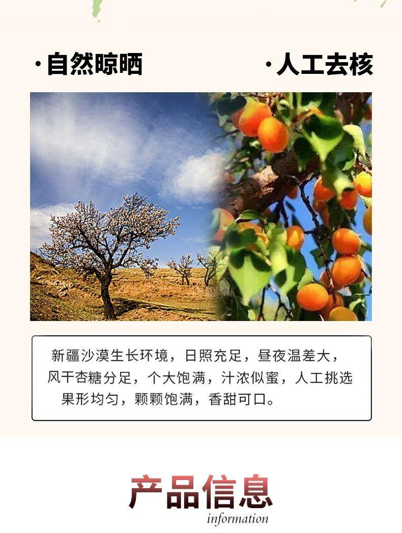 八大怪 新疆吊干杏无添加风干杏特级果脯500g