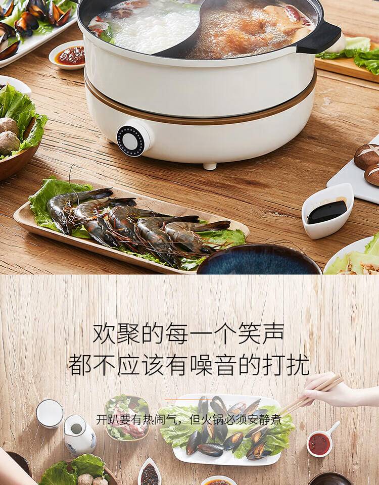 九阳多功能家用鸳鸯锅IH电磁加热分体式电火锅4.5L C21-HG3