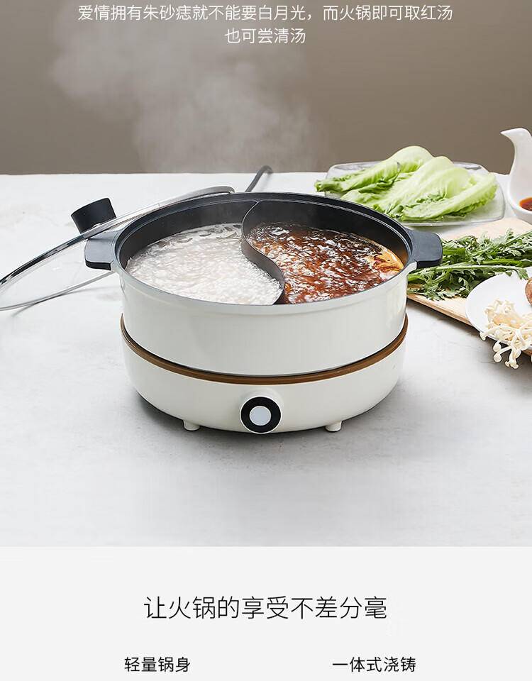 九阳多功能家用鸳鸯锅IH电磁加热分体式电火锅4.5L C21-HG3