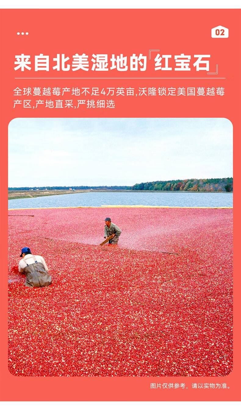 沃隆 每日蔓越莓干300g/（25g*12袋） 蜜饯果干果脯烘焙营养健康休闲零食小吃0