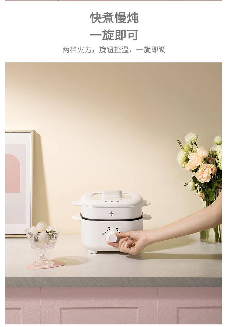 博堡 电火锅 BDY-908G