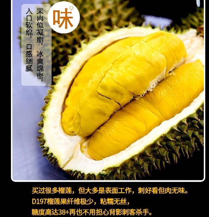 源兴猫山王纯果肉400克