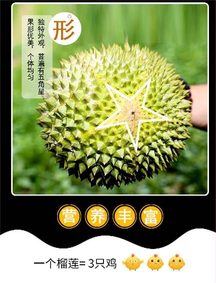 源兴猫山王纯果肉400克