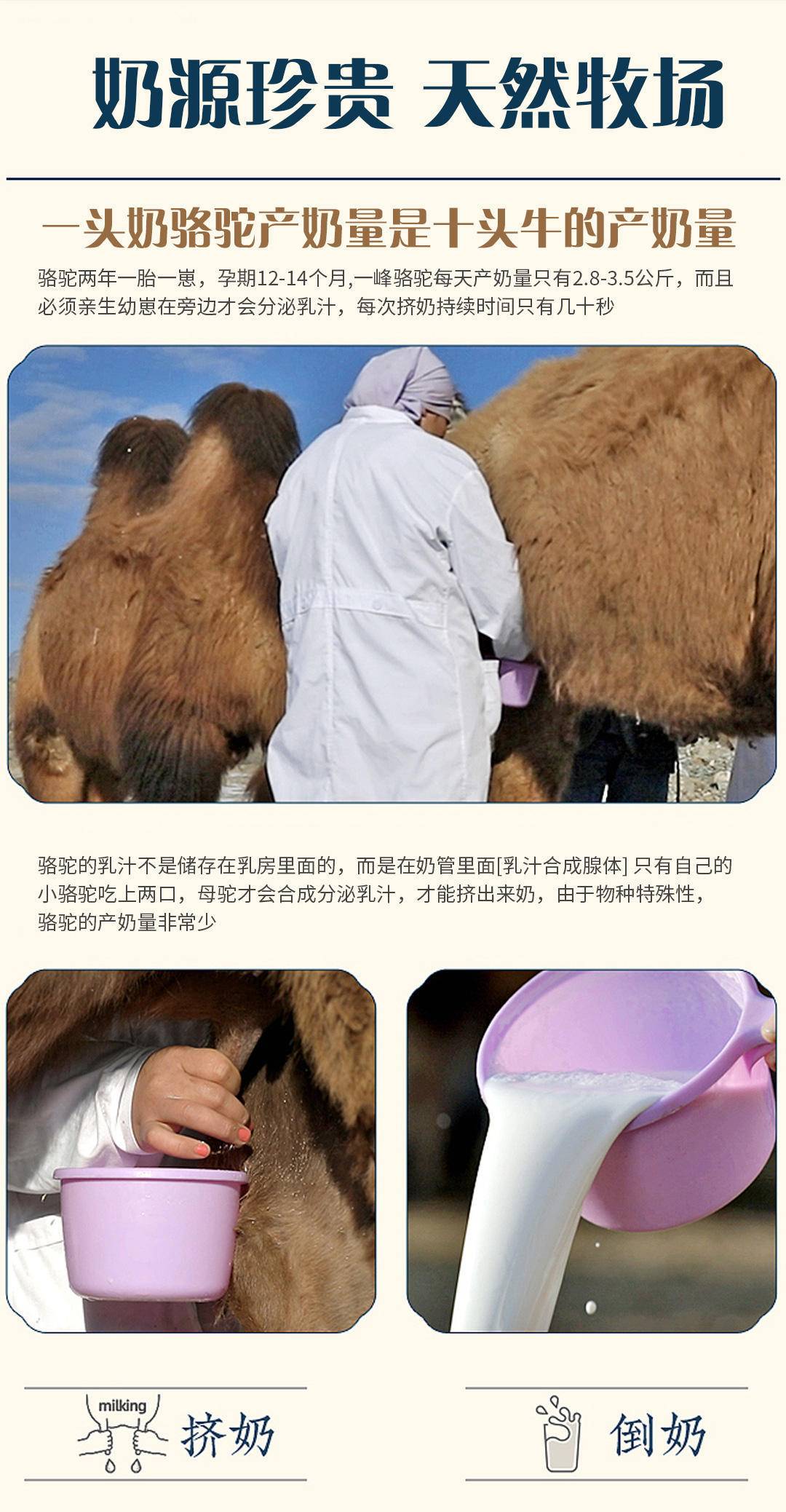 亩育万物有机全脂驼乳粉新疆原产纯驼奶粉成人学生女士300g