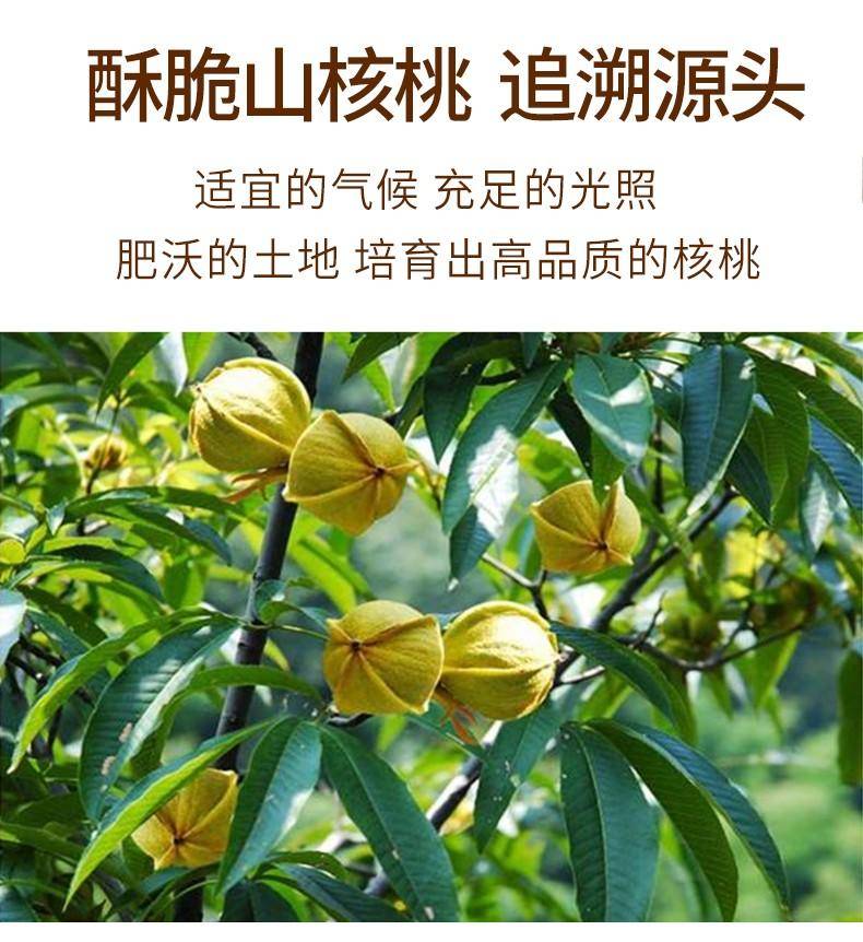 刻凡手剥山核桃500g
