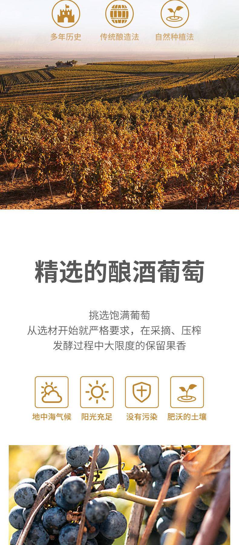 路易柏桐菲窖藏庄园干红系列14度干红葡萄酒（一箱）750ML*6