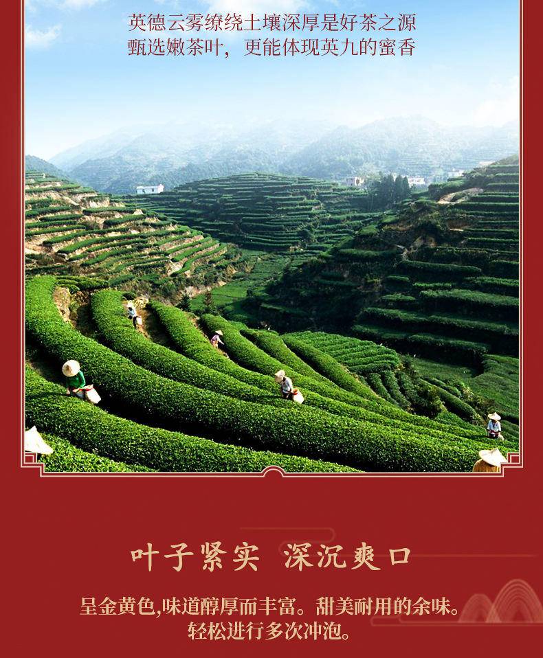 吉星金鹤吉星金鹤英红九号红茶/普洱生茶英红九号红茶【礼盒装】5g*30包