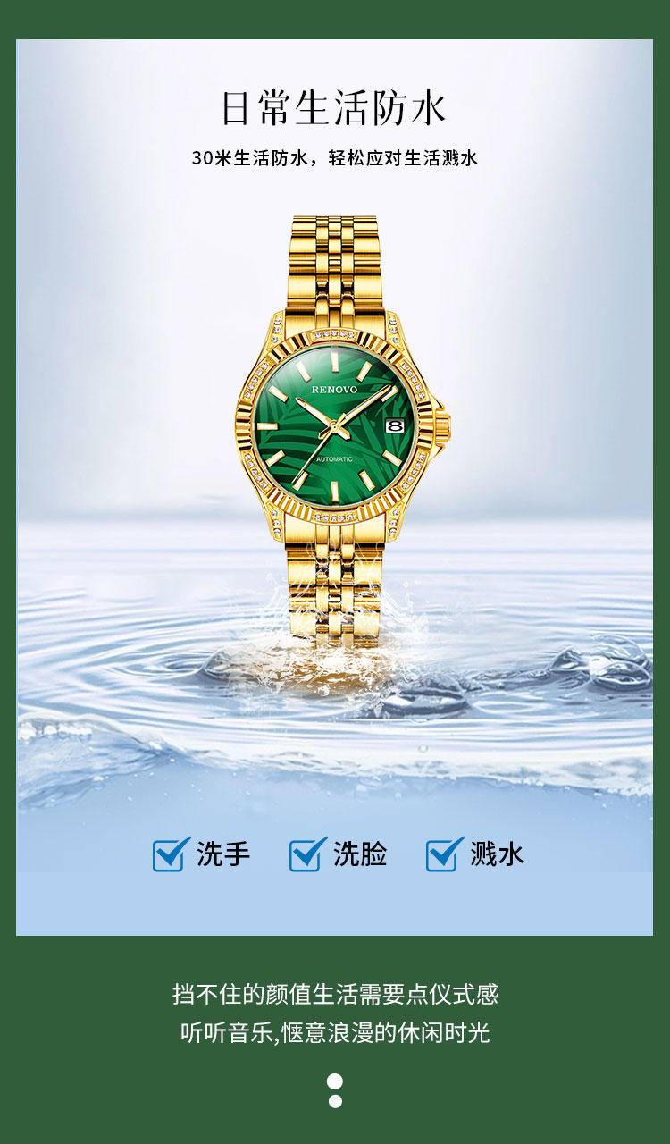 德国品牌 RENOVO罗诺威R33128机械表 (钢)金绿
