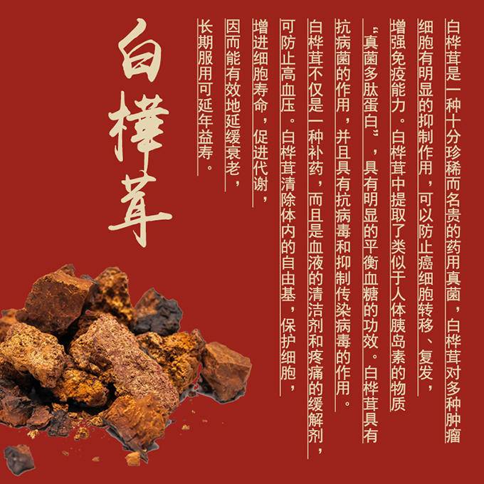 中航人 白桦茸 240g（8g*30袋）