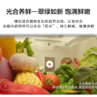 创维冰箱557升 BCD-557WKPS玄武岩 风冷无霜一级能效巡航净味银离子杀菌 光合养鲜 双变频 557升 净味杀菌