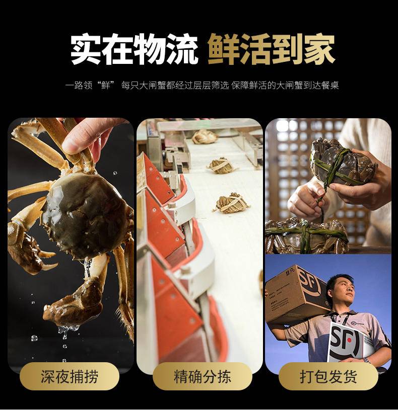 【礼券|秒杀】碧波甄选阳澄湖大闸蟹提货卡 礼品卡 顺丰包邮多规格可选