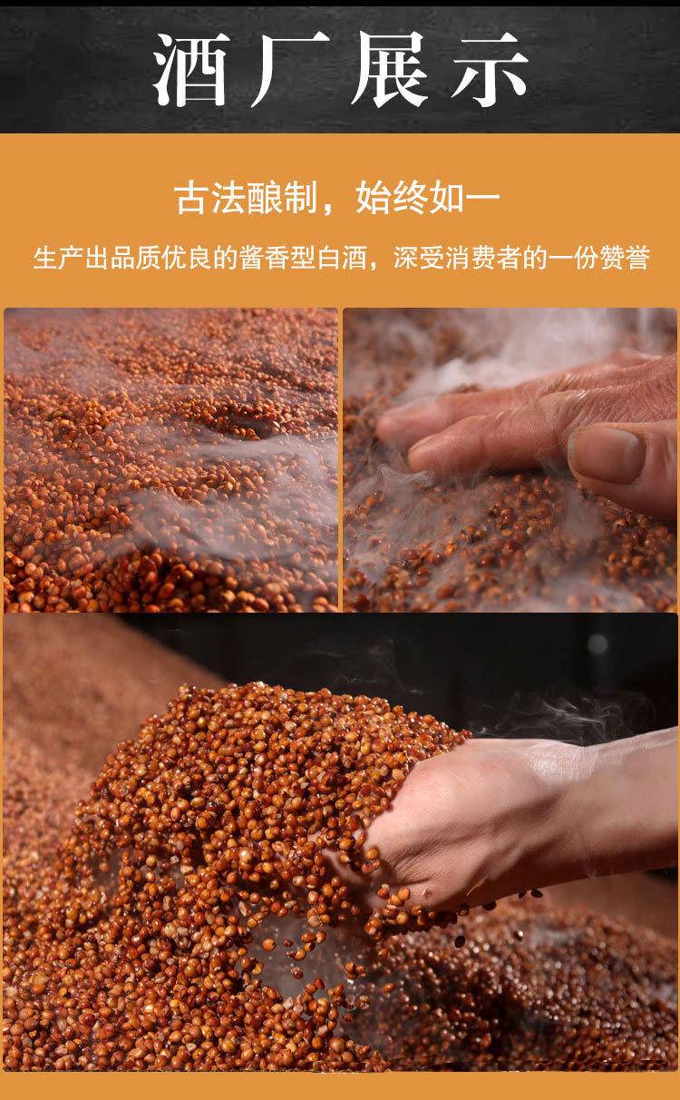 贵州生肖龙年酱香型53度坤沙白酒6瓶装