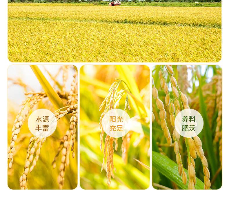 【集采200袋】邻家饭香 五常香米 5kg/袋 寒地黑土 鸭稻共生 一年一季LJFX86