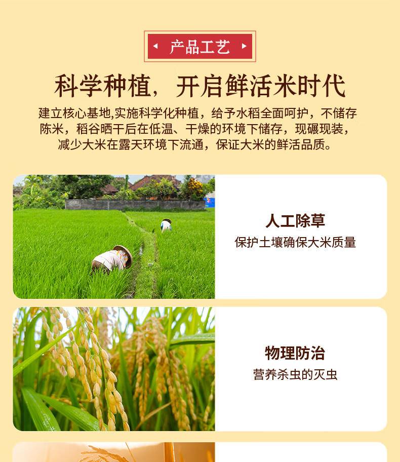 【集采200袋】邻家饭香 五常香米 5kg/袋 寒地黑土 鸭稻共生 一年一季LJFX86