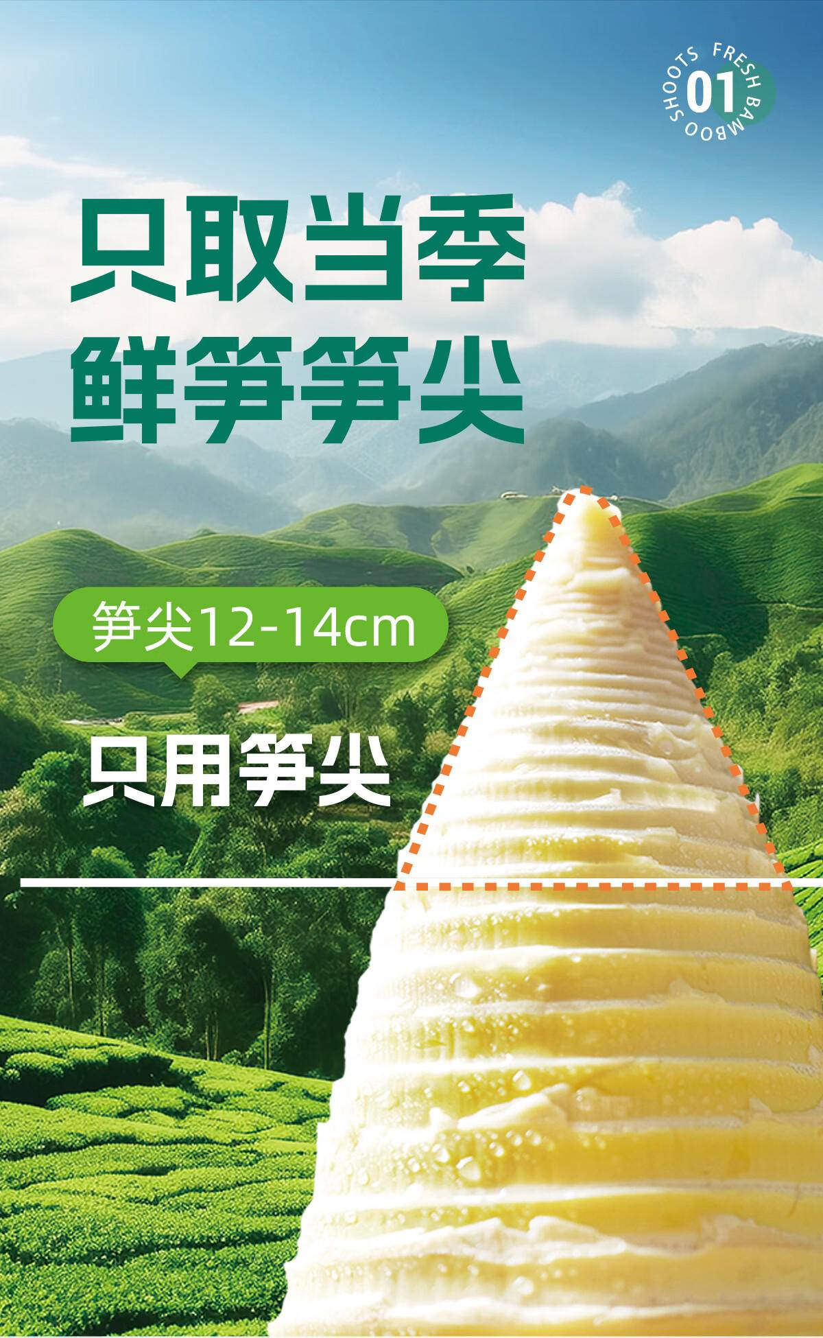 【集采】极野有机嫩笋尖200g*40包装