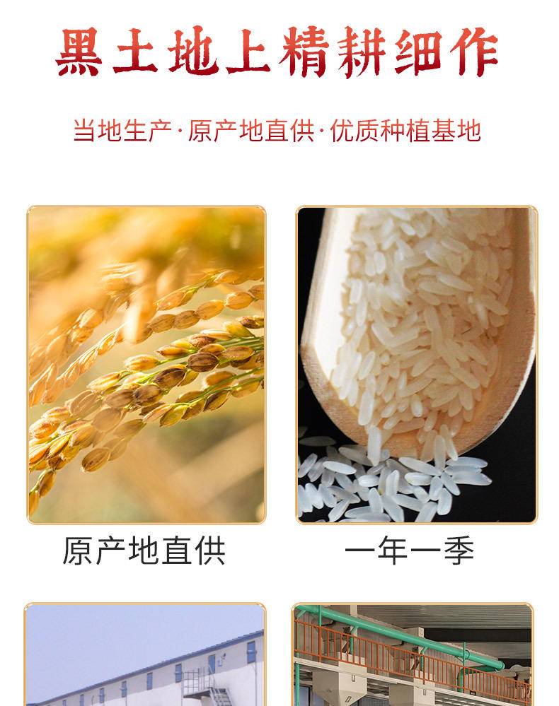 东北大米 5kg 圆粒珍珠米 真空包装粳米煮粥非稻花香当季新米