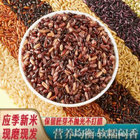 七色糙米五谷杂粮香甜软糯500g独立真空包装代餐主食