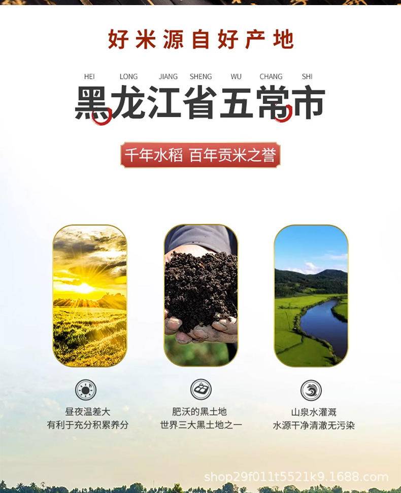 七色糙米五谷杂粮香甜软糯500g独立真空包装代餐主食