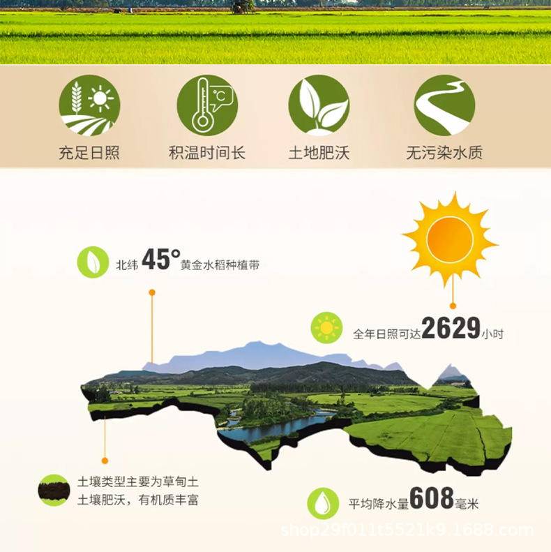 七色糙米五谷杂粮香甜软糯500g独立真空包装代餐主食