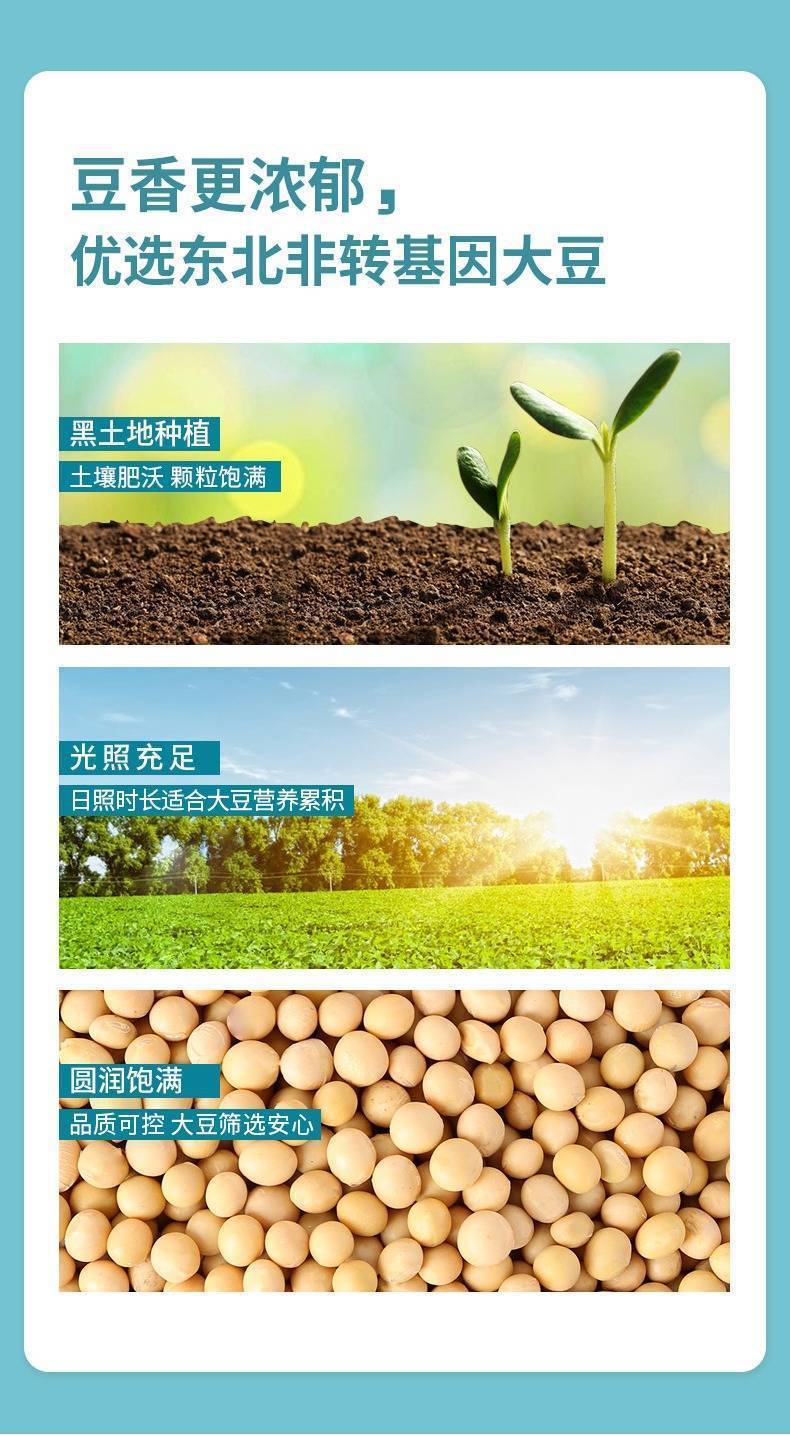 益生菌豆浆粉3袋