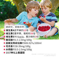 生命果覆盆子（树莓）汁饮料250ml*12罐/箱