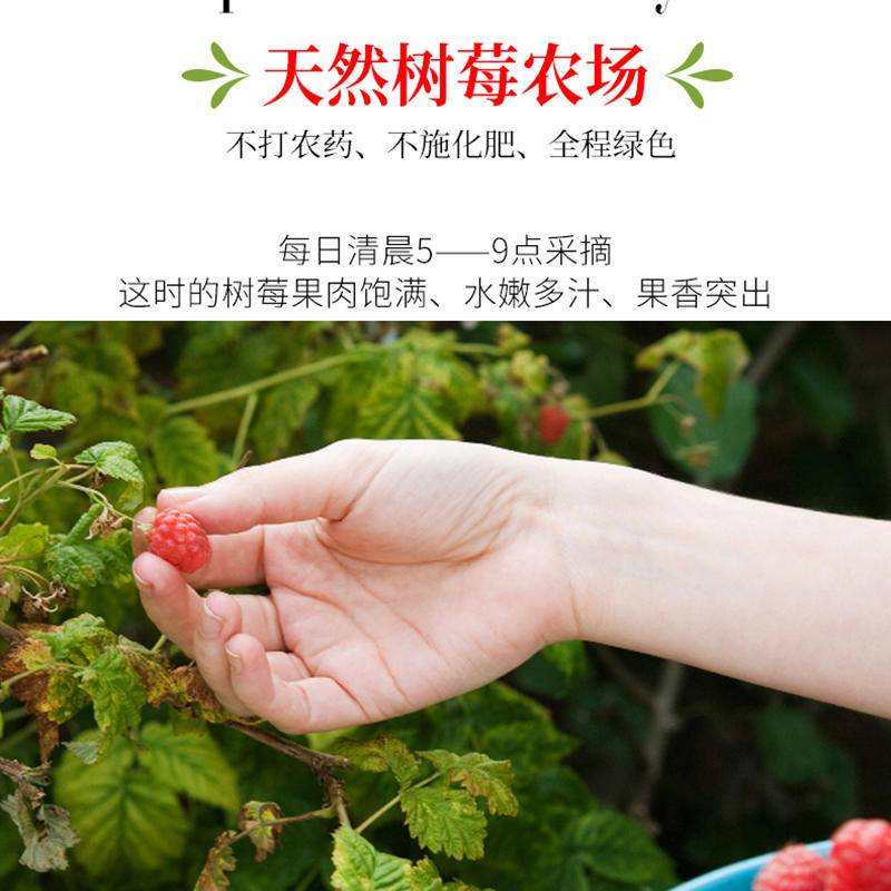 生命果覆盆子（树莓）汁饮料250ml*12罐/箱
