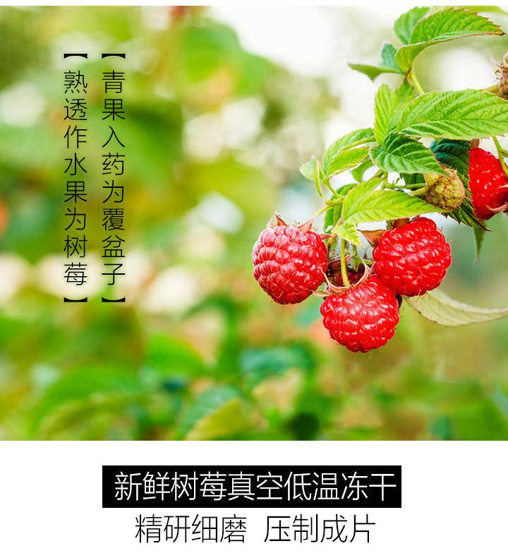 生命果树莓（覆盆子）压片糖果60克/盒