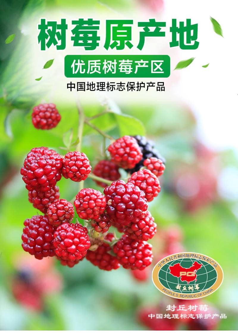 生命果覆盆子（树莓）果粉8g*8*4/盒