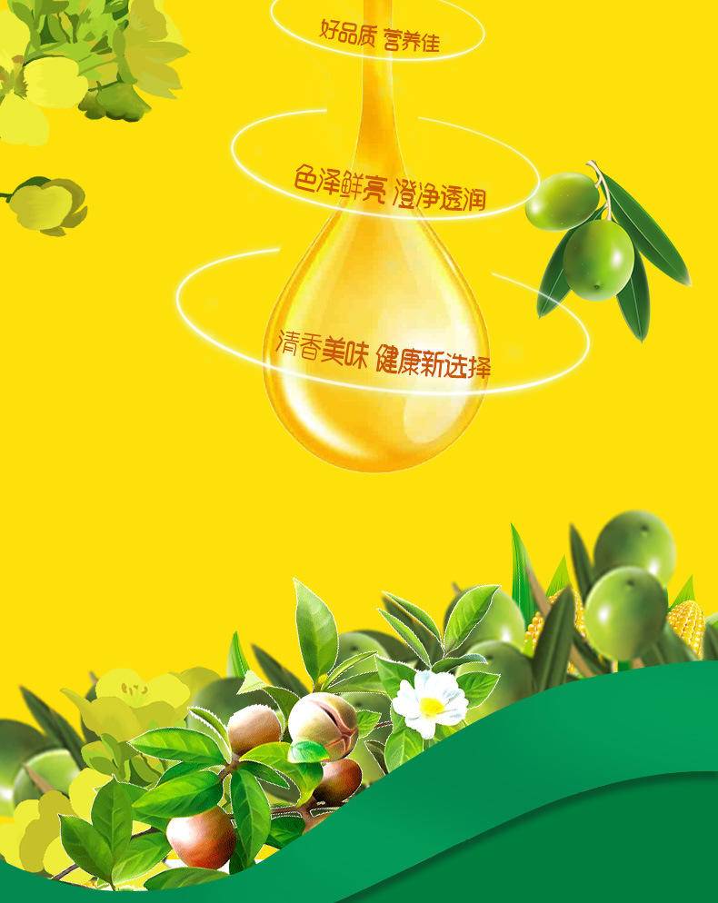 探花村 5L 山茶橄榄调和油