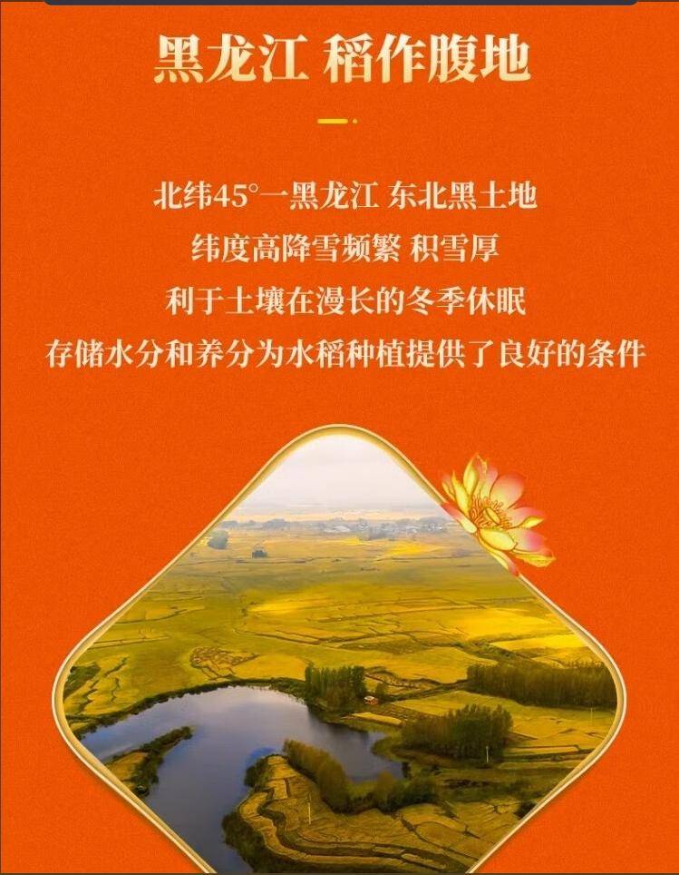 米多香东北大米10斤 黑龙江大米稻香米生态粳米真空包装东北香米