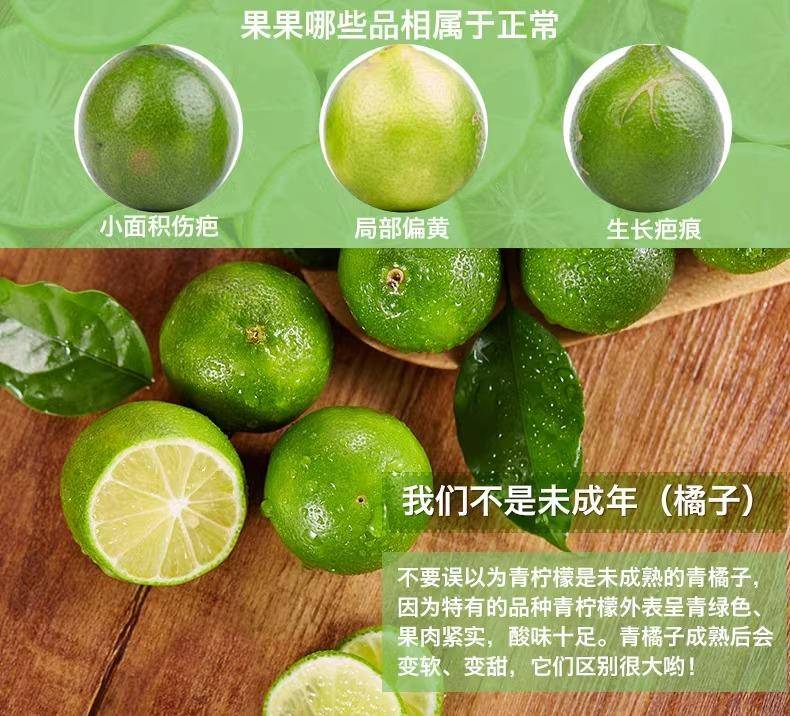 【集采】安岳青柠檬5斤装*10箱