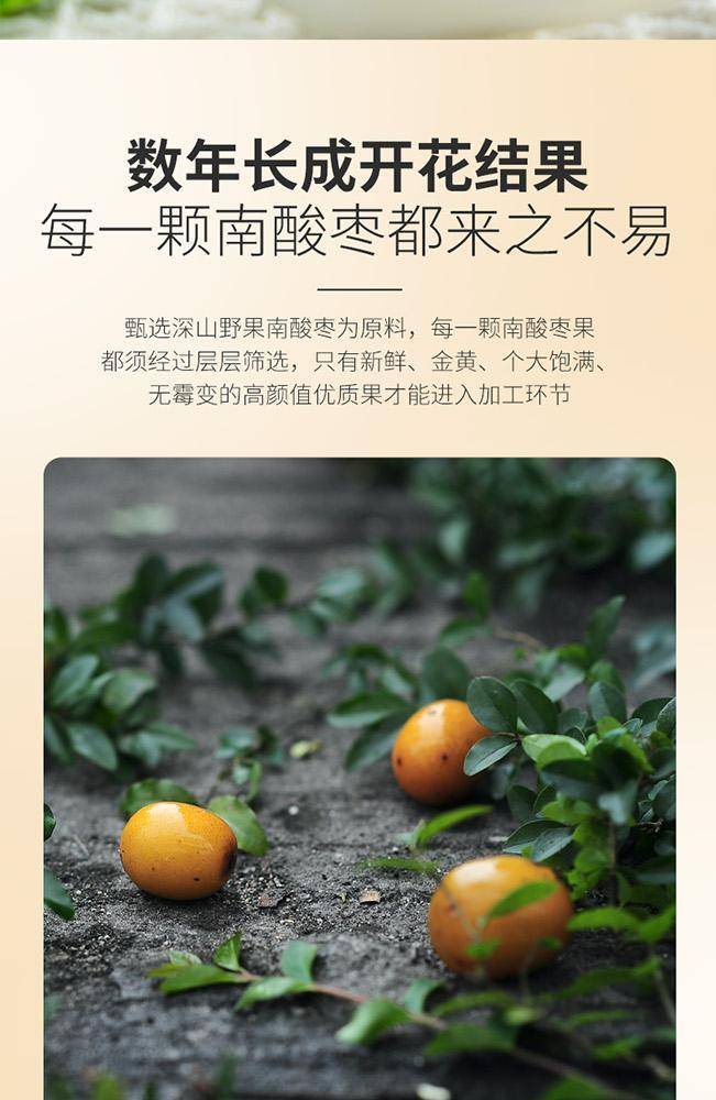 辉明南酸枣粒100g