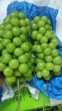 史大姐阳光玫瑰5斤不上架