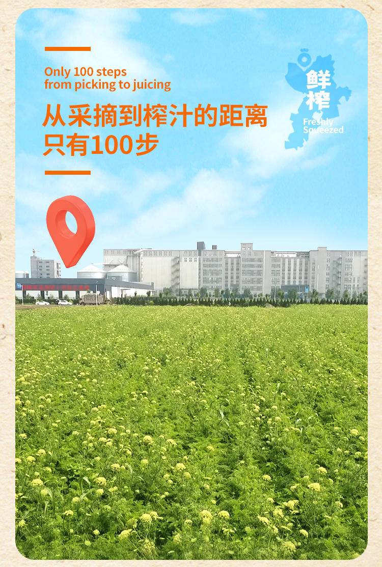 田野说 100%胡萝卜汁 125ml*16盒/箱