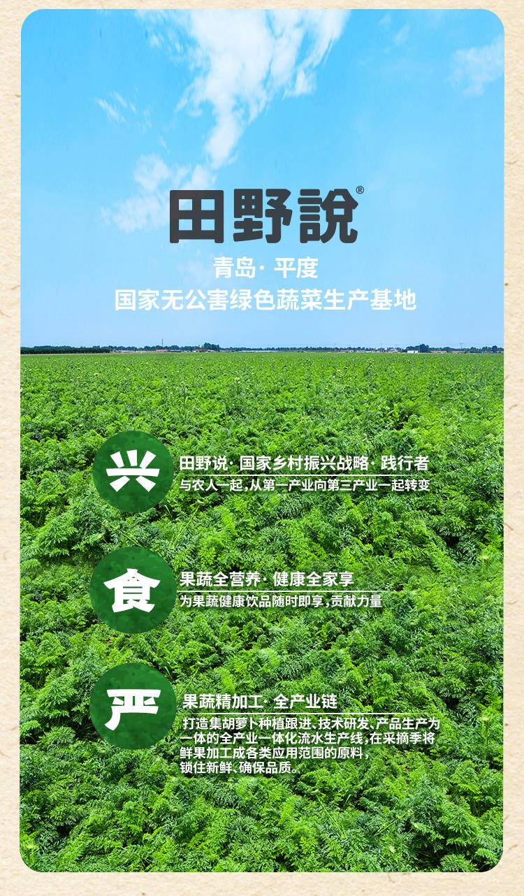田野说 100%胡萝卜汁 125ml*16盒/箱