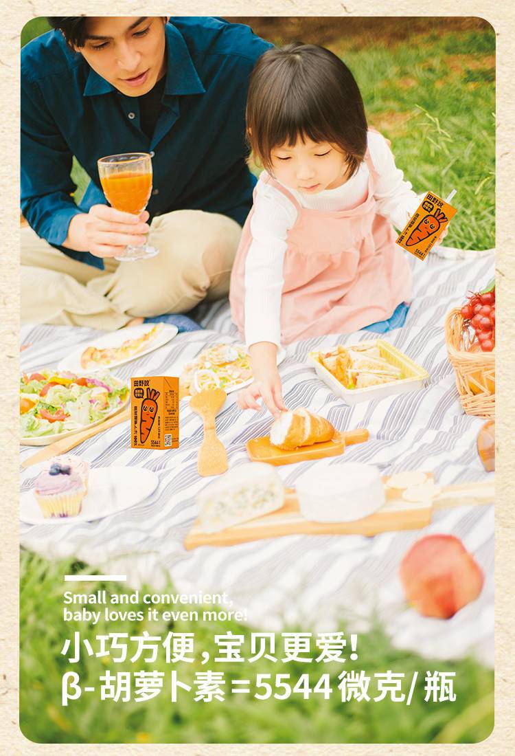 田野说 100%胡萝卜汁 125ml*16盒/箱