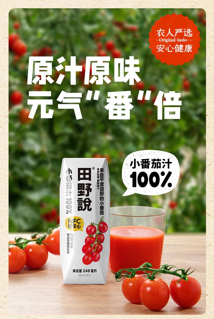田野说 100%小番茄汁 248ml*10盒/箱