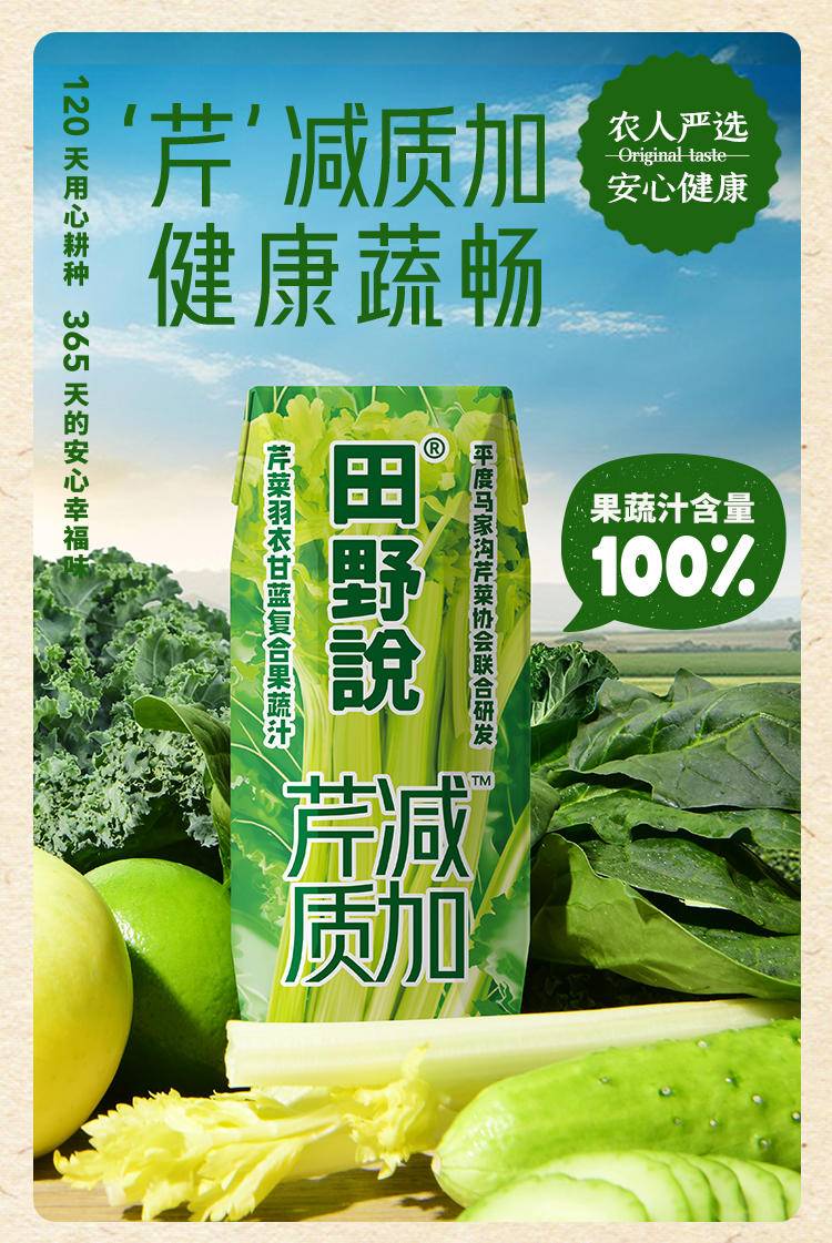 田野说 芹菜羽衣甘蓝复合果蔬汁 248ml*10盒/箱