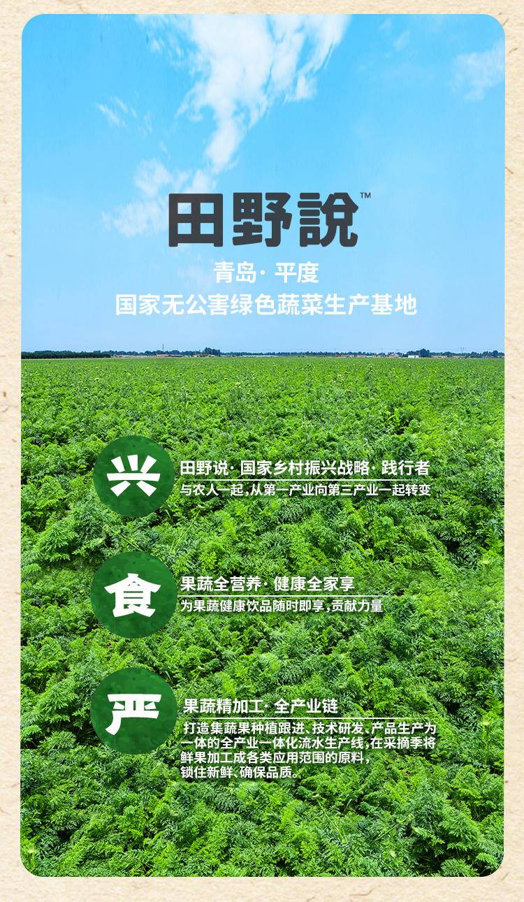 【集采】田野说 NFC生姜复合果蔬汁 125ml*16盒*20箱