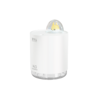 笨笨马 小龙仔加湿器 BJ01